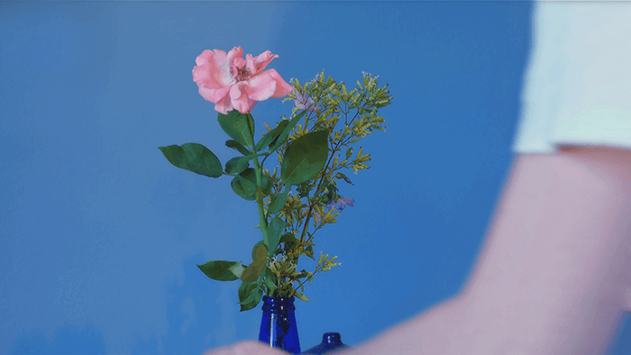 Balkan Kiss episode 5